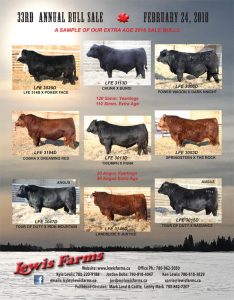 Lewis Farms Bull Sale 2018